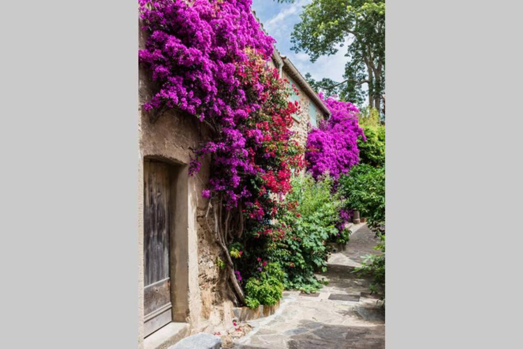 דירות Coquet 2 Pieces Coeur Vieil אנטיב מראה חיצוני תמונה